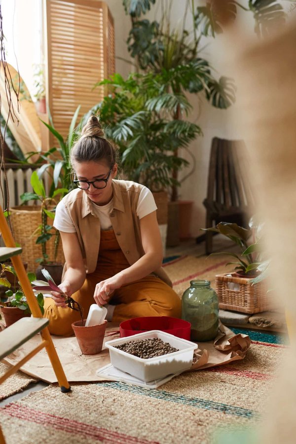 Les bienfaits méconnus des plantes pour soulager les hémorroïdes