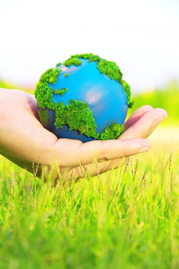 Earthing film : le film à voir pour une meilleure compréhension du earthing